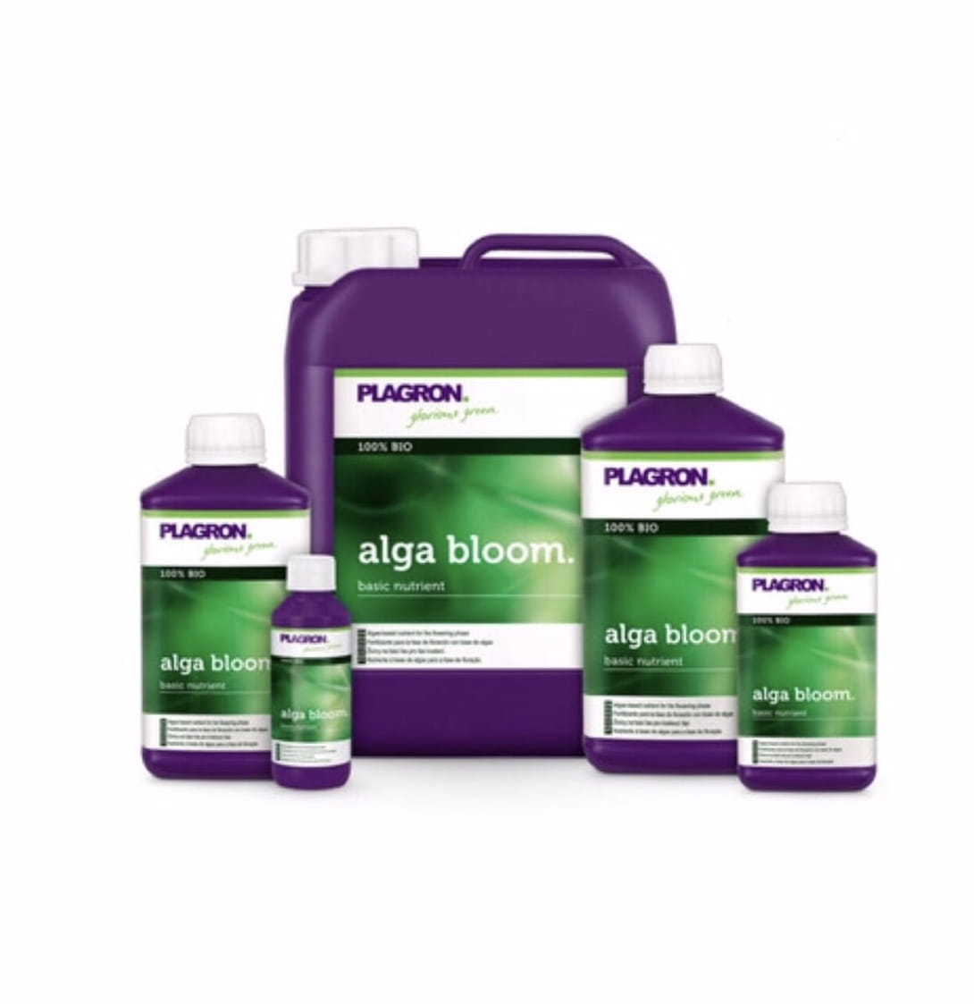 Plagron Alga Bloom - Organiczny Nawóz na Kwitnienie (100% BIO)